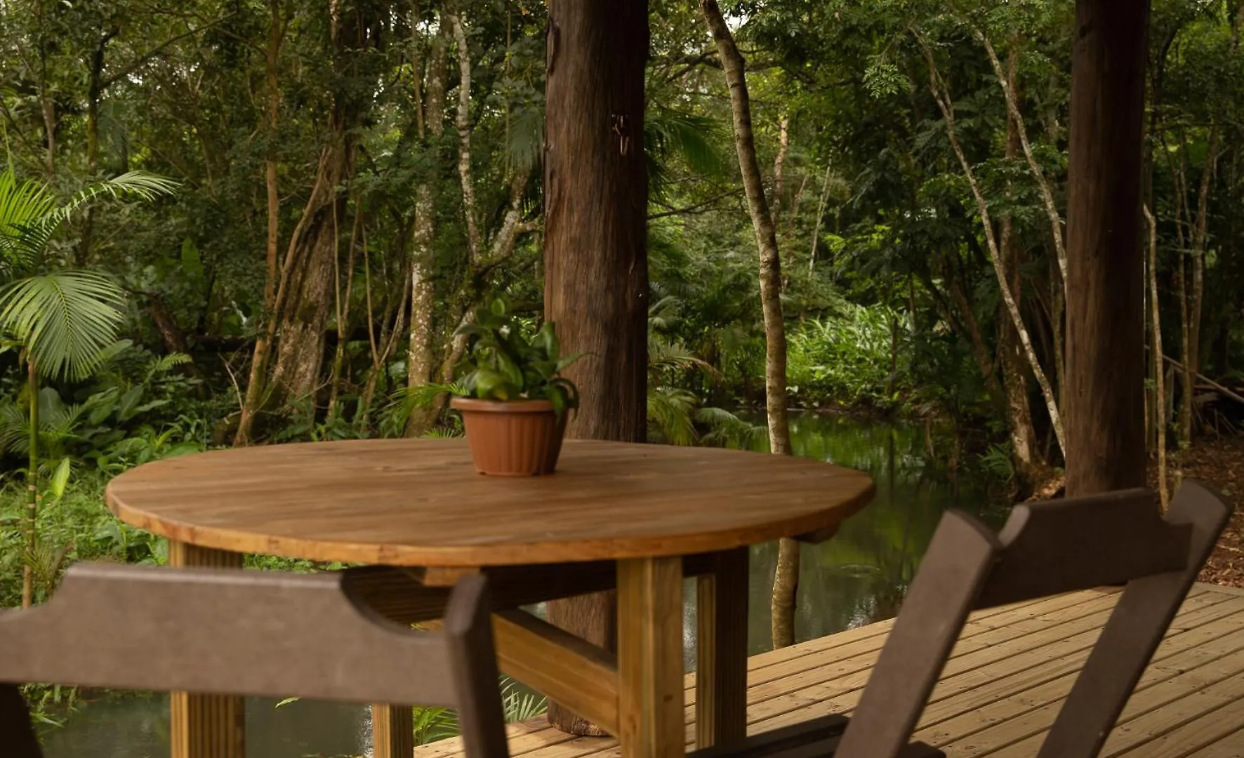 Chale Canadense Com Hidromassagem Pousada Indios Koroados Praia Grande  Brazil